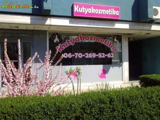 Dolly kutyakozmetika XIII.kerület