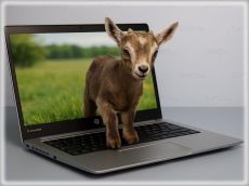 #00EE 1999 óta Dr-PC: HP ProBook 450 G10 -Dr-PC-nél
