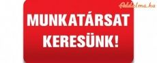 Betanított munka Budapesten Magas bérezéssel!!!!