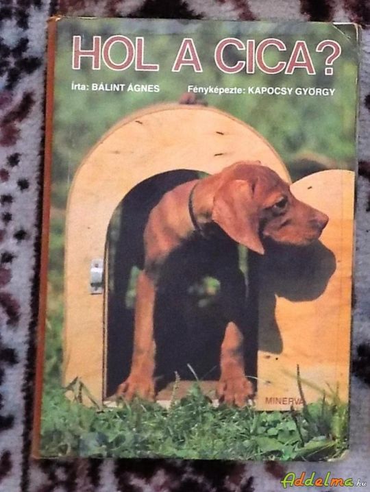 Bálint Ágnes: Hol a cica (Minerva 1982)
