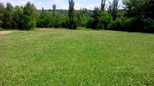 Sopron Bécsi domb telek