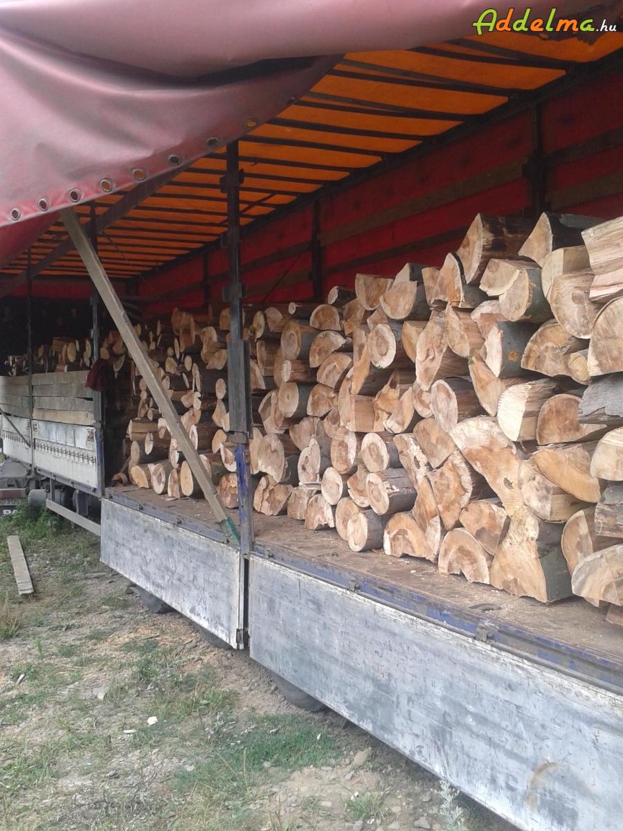 Eladó 1 méteres,hasított kiváló minőségü bükk tűzifa