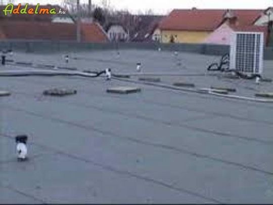 Tetőszigetelés és lapostető szigetelés