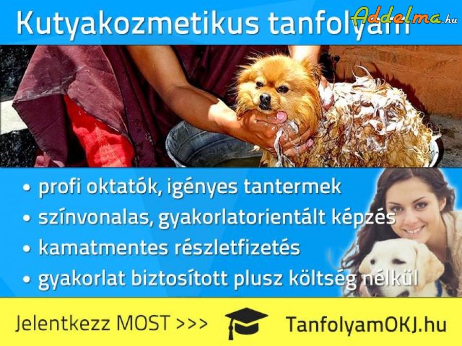 Kutyakozmetikus OKJ-s tanfolyam Budapesten