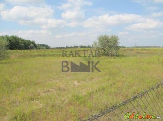 Dunavarsányon eladó telek