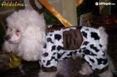 DALMATA PÖTTYÖS OVERAL