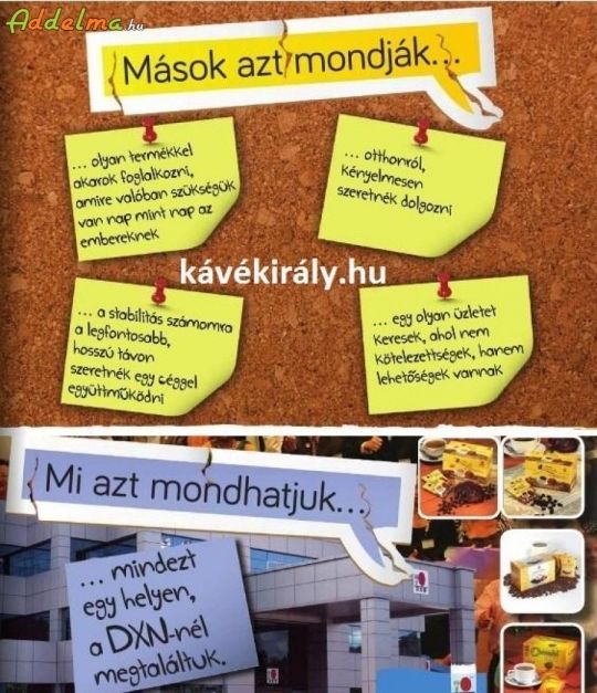 A tanárok a DXN ganoderma kávés MLM üzletet választják!