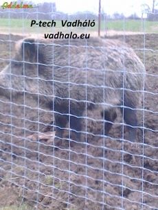 Vadháló,drótfonat,kerítés ,vadriasztó huzal