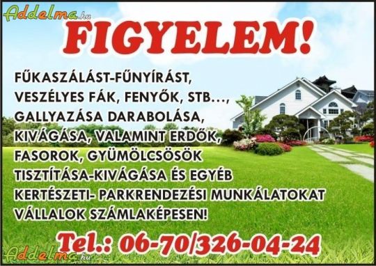 Fűkaszálás, kaszálás, parlagfűirtás