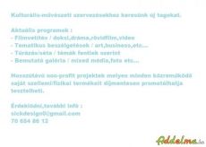 Kulturális-művészeti szervezőket keresünk