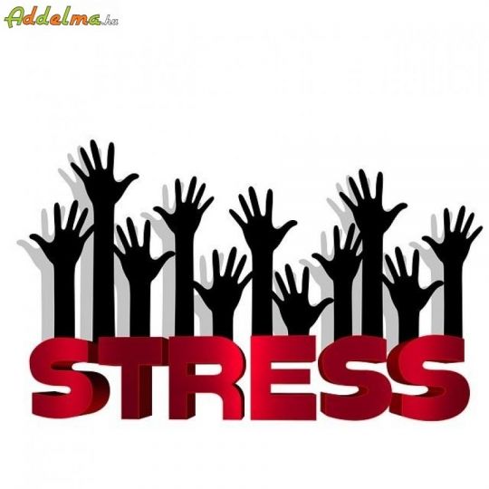 Stressz csökkentő  technikák