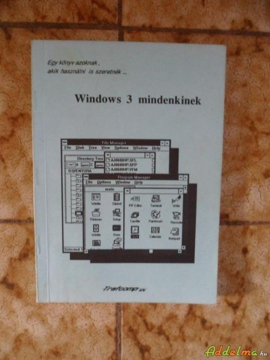 Windows 3 mindenkinek
