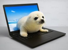 #2887 Üzembe helyezve: Fujitsu LifeBook U757 -11.28