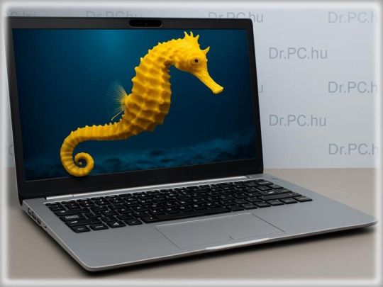 #3284 50 féle 13.3as Dellből Latitude 5300