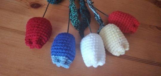 5 szál kézműves tulipán