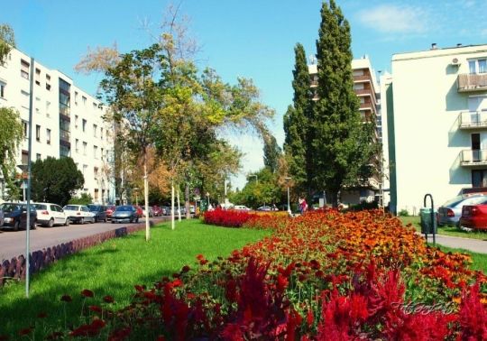 9.kerületben garzon kiadó!
