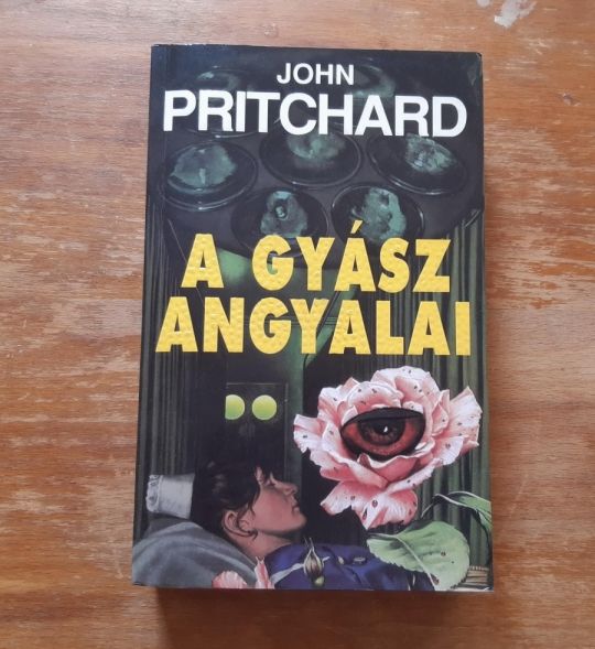 A gyász angyalai könyv