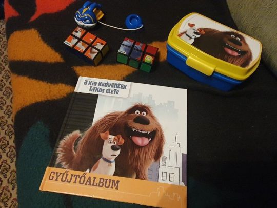 A kis kedvencek titkos élete - Gyűjtőalbum +uzsonnásdoboz, kirakó