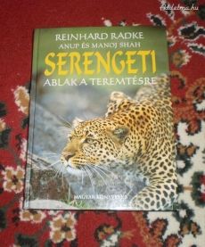 Ablak a teremtésre