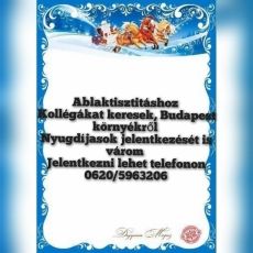 Ablaktisztitáshoz kollégákat keresek