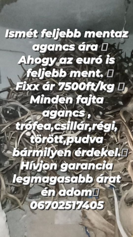 Agancs felvásárlás országos szinten válogatás nélkül