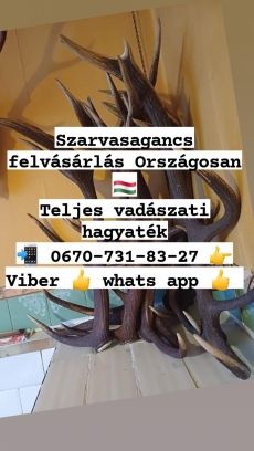 Agancs felvásárlás Veszprém megyében 06707318327