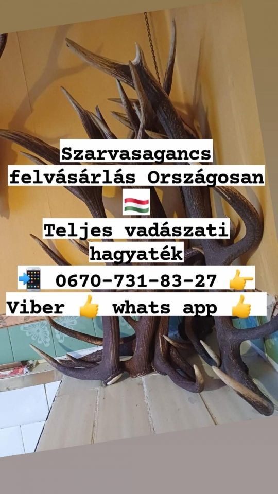 Agancs felvásárlás Veszprém megyében 06707318327
