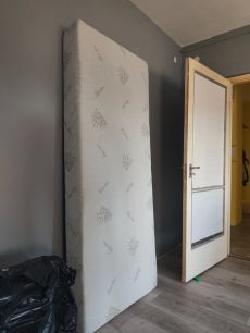 Aloe vera-s matracom eladó.