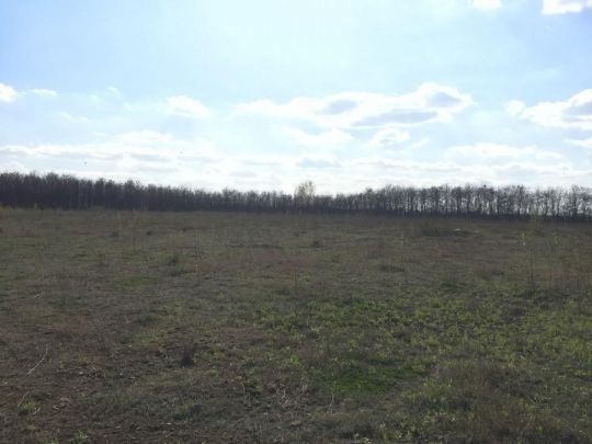 Alsónémedi fejlesztési terület 127.000 m2