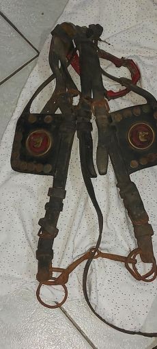 Antik lószerszám (szemellenörző)