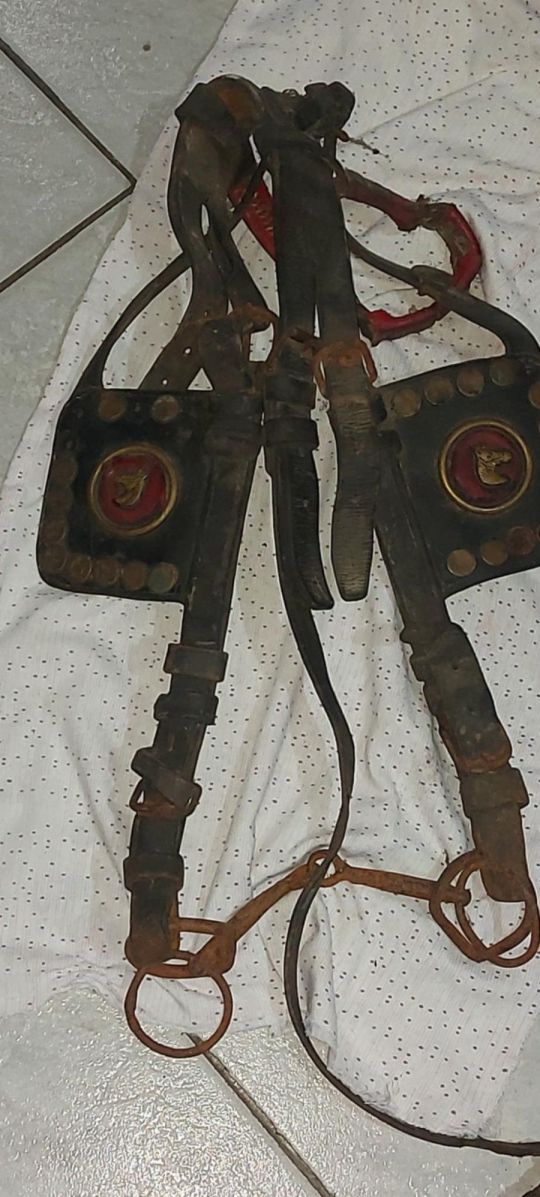 Antik lószerszám (szemellenörző)