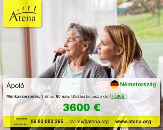 Ápolás, Házi gondozó