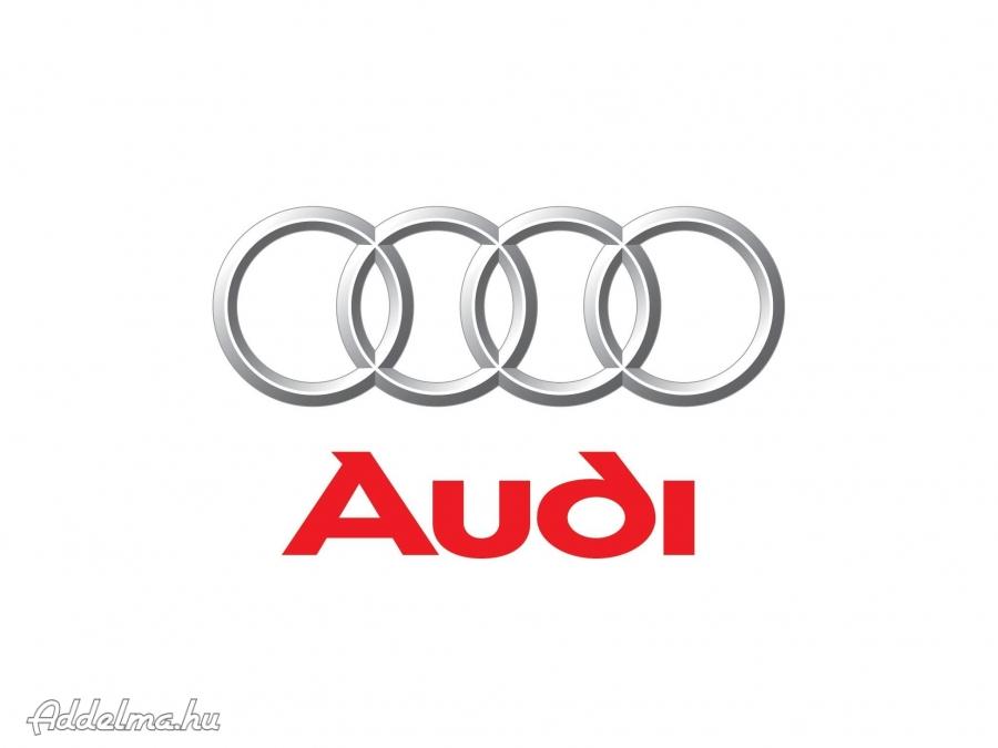 Audi diagnosztika (gyári szintű) akár kiszállással.