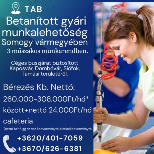 Betanított gyári munkalehetőség Somogy vármegyében