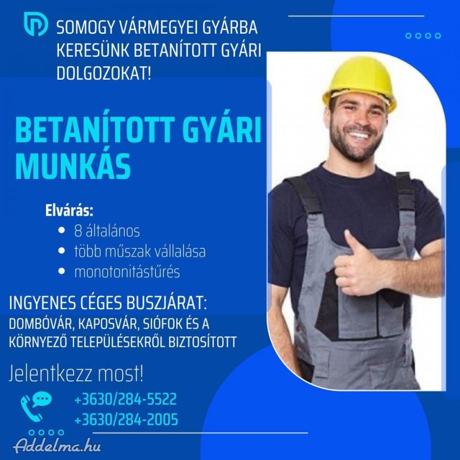 Betanított Gyári  munkalehetőség Somogy vármegyében!