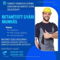 Betanított Gyári munkalehetőség Somogy vármegyében!