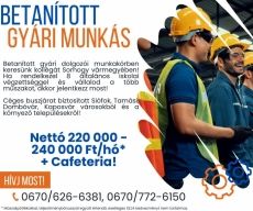 Betanított gyári munkás TAB