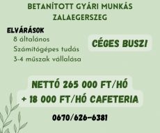 Betanított gyári munkás Zalaegerszeg