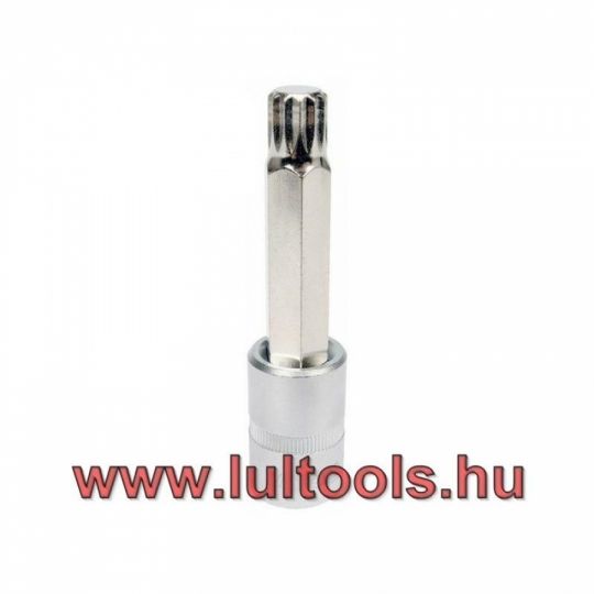 Bithegy dugófejjel SPLINE M14 1/2