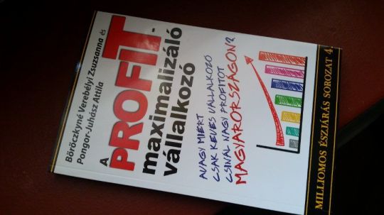 Böröczkyné-Pongor-Juhász: A profitmaximalizáló vállalkozó