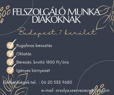 Budapest szívében felszolgáló diákmunka lehetőség!
