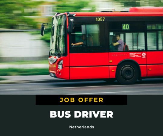 Buszsofőr Hollandiában