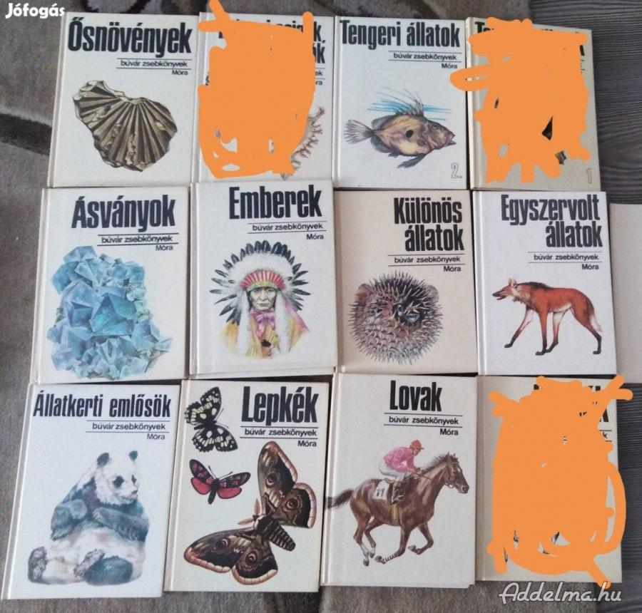Búvár zsebkönyvek eladók állatok, emberek