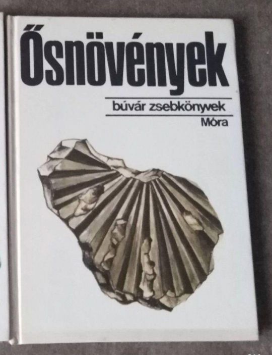 Búvár zsebkönyvek Ősnövények