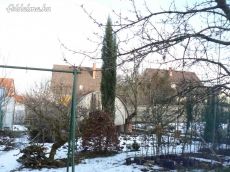 Ciprus / európai / fácskák eladók