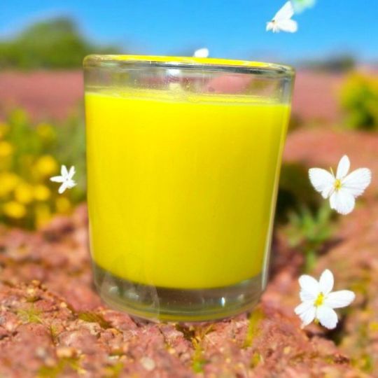 Citronella szúnyogriasztó gyertya üveg edényben – 5x6 cm