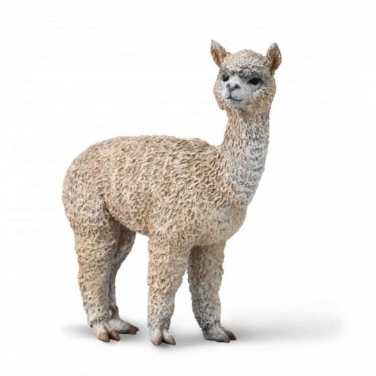 COLLECTA - ALPAKA