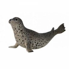 COLLECTA - FOLTOS FÓKA