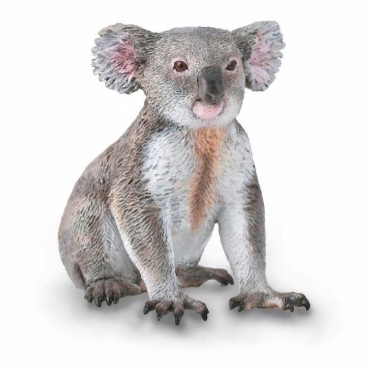 Collecta. - Koala