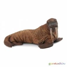 COLLECTA - ROZMÁR